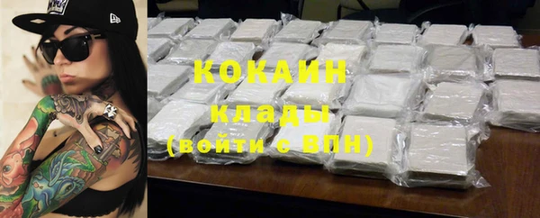 mdpv Богородск