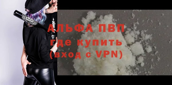 гашиш Богданович