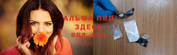 гашиш Богданович