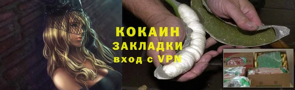 гашиш Богданович