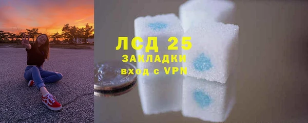 гашиш Богданович