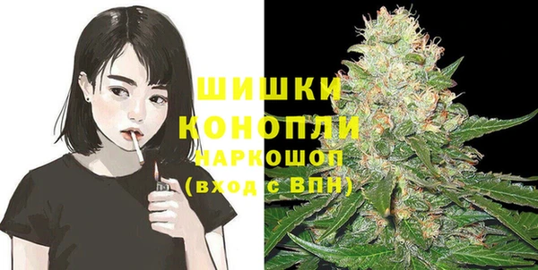 гашиш Богданович