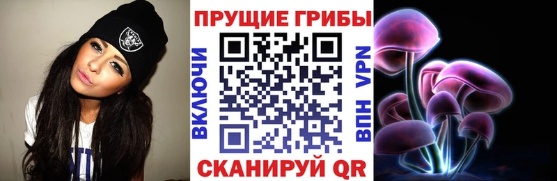 Псилоцибиновые грибы Cubensis Верхняя Салда